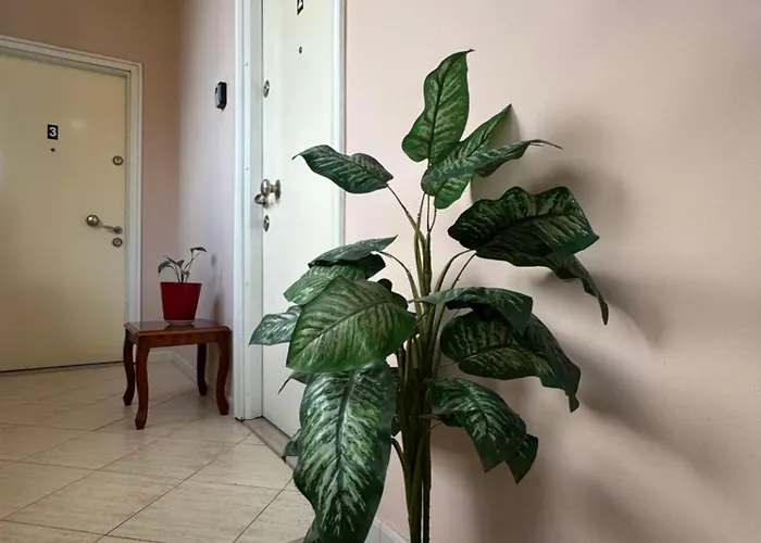 Apartment Mirela's Center Tirana
