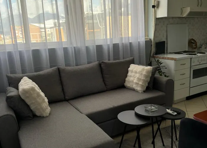 Apartment Mirela's Center *